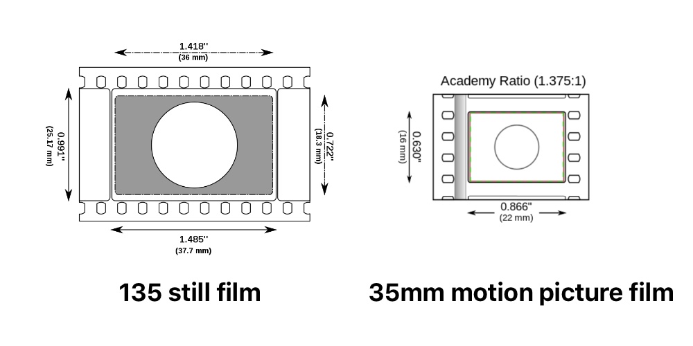 135 film versus 35mm motion picture film. Drawings courtesy of WikiMedia Commons.